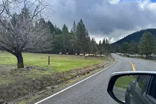 543 Serenity Ln, Grants Pass, OR 97526 - Photo 33