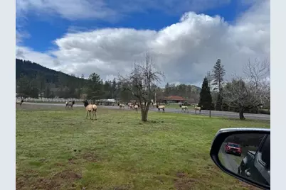 543 Serenity Lane, Grants Pass, OR 97526 - Photo 31