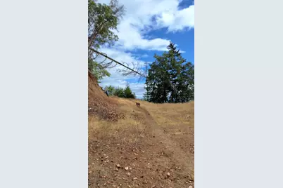 Galls Creek Road Road #301, Central Point, OR 97502 - Photo 31