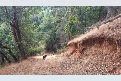 Galls Creek Road Road #301, Central Point, OR 97502 - Photo 13