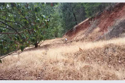 Galls Creek Road Road #301, Central Point, OR 97502 - Photo 21