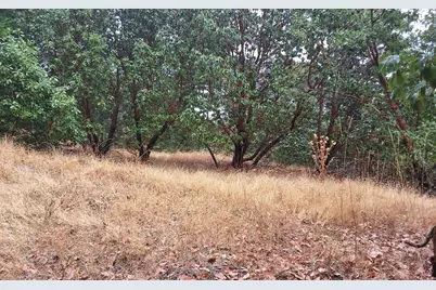 Galls Creek Road Road #301, Central Point, OR 97502 - Photo 11