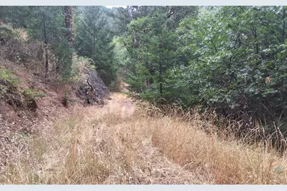 Galls Creek Road Road #301, Central Point, OR 97502 - Photo 29