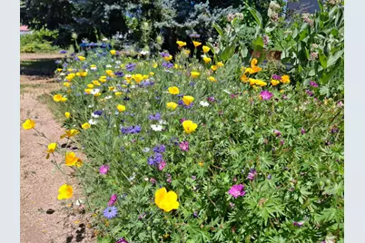 843 Fruitdale Drive, Grants Pass, OR 97527 - Photo 25