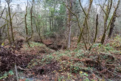 464 Sunny Glen Way, Wolf Creek, OR 97497 - Photo 33