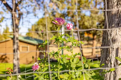 402 Claremont Drive, Madras, OR 97741 - Photo 33