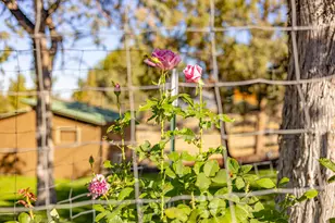 402 Claremont Dr, Madras, OR 97741 - Photo 33