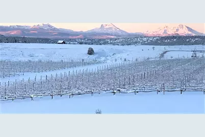 70445 NW Lower Valley Drive #100, Terrebonne, OR 97760 - Photo 5