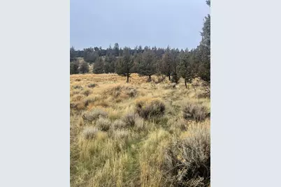 70445 NW Lower Valley Drive #100, Terrebonne, OR 97760 - Photo 3