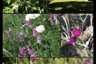 234 Penny Ln, Grants Pass, OR 97527 - Photo 3