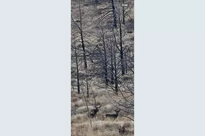 69900 NW Lower Valley Drive NW, Terrebonne, OR 97760 - Photo 15