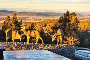 5907 NE Timber Ln, Prineville, OR 97754 - Photo 67