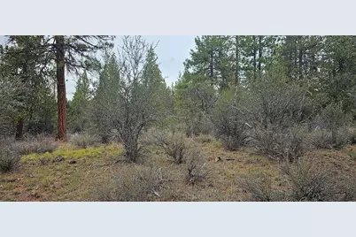 Grizzly Lane #3711-036C0-05800, Bonanza, OR 97623 - Photo 5