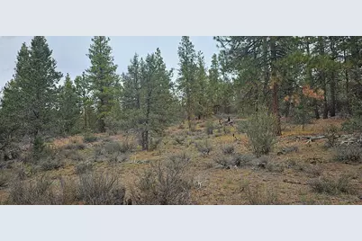 Grizzly Lane #3711-036C0-05800, Bonanza, OR 97623 - Photo 3