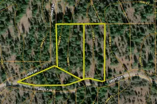 Grizzly Ln, Bonanza, OR 97623 - Photo 1