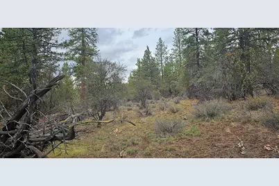 Grizzly Lane #3711-036C0-05800, Bonanza, OR 97623 - Photo 7