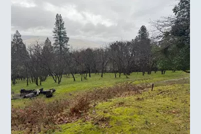 1751 Dragon Fly Lane, Ashland, OR 97520 - Photo 29