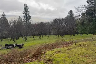 1751 Dragon Fly Ln, Ashland, OR 97520 - Photo 29