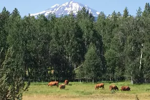 69947 Meadow View Rd, Sisters, OR 97759 - Photo 41