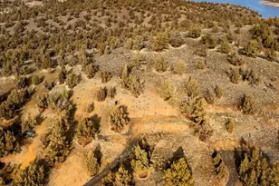 Tl 1700 SE Vista Loop, Prineville, OR 97754 - Photo 19