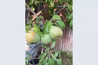 1552 NE Deedie Court, Prineville, OR 97754 - Photo 31