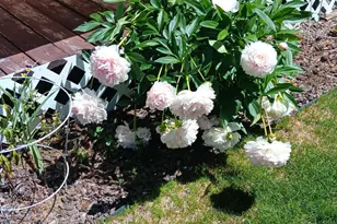 53465 Kokanee Ln, La Pine, OR 97739 - Photo 53