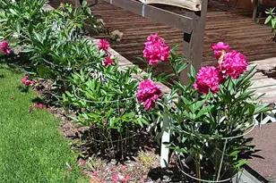 53465 Kokanee Ln, La Pine, OR 97739 - Photo 55