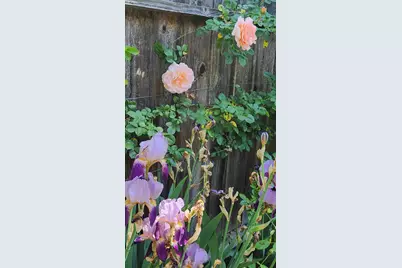 408 N Ivy Street, Medford, OR 97501 - Photo 37