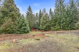 419 Idlewild Dr, Cave Junction, OR 97523 - Photo 45
