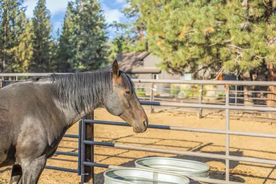 15624 National Forest Lane, Sisters, OR 97759 - Photo 35