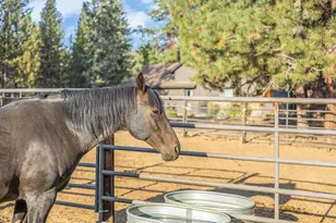 15624 National Forest Ln, Sisters, OR 97759 - Photo 35