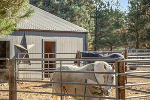 15624 National Forest Ln, Sisters, OR 97759 - Photo 27