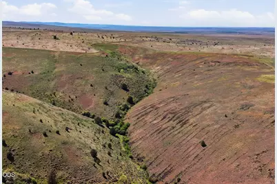 0 Badger Canyon Road, Condon, OR 97823 - Photo 13