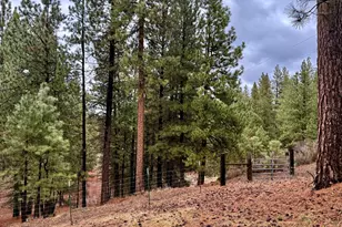 38965 Chiloquin Ridge Rd, Chiloquin, OR 97624 - Photo 57