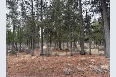 Sun Forest Drive, La Pine, OR 97739 - Photo 19