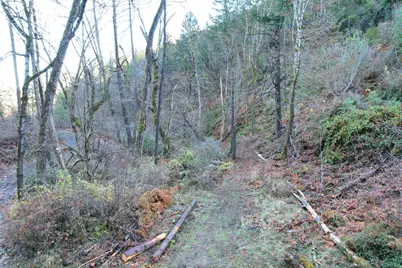 2905 Birdseye Creek Road, Gold Hill, OR 97525 - Photo 31