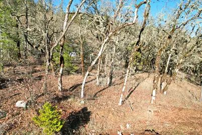 2905 Birdseye Creek Road, Gold Hill, OR 97525 - Photo 25