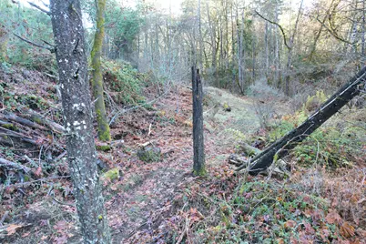2905 Birdseye Creek Road, Gold Hill, OR 97525 - Photo 29