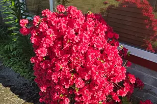 1215 NE A Street NE, Grants Pass, OR 97526 - Photo 47