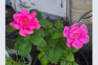 1215 NE A Street NE, Grants Pass, OR 97526 - Photo 45