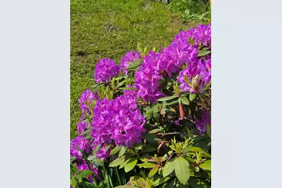 1215 NE A Street NE, Grants Pass, OR 97526 - Photo 49