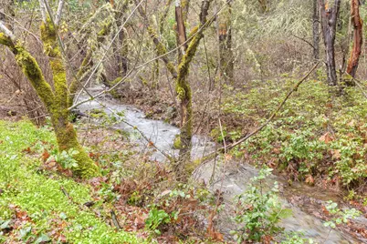 1200 Lower Wolf Creek Road, Wolf Creek, OR 97497 - Photo 47