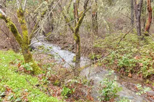 1200 Lower Wolf Creek Rd, Wolf Creek, OR 97497 - Photo 47