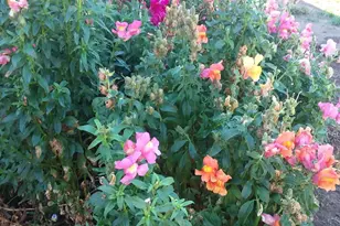 2615 SW 21st St, Redmond, OR 97756 - Photo 31