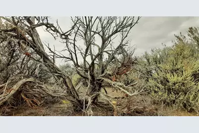 Christmas Valley Wagontire Hwy #07700, Christmas Valley, OR 97641 - Photo 3