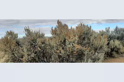 Christmas Valley Wagontire Hwy #07700, Christmas Valley, OR 97641 - Photo 5