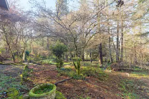 301 Canyon Dr, Grants Pass, OR 97527 - Photo 45