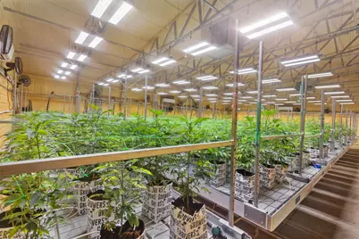 [Address not provided], Selma, OR 97538 - Photo 5