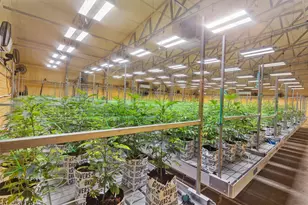 [Address not provided], Selma, OR 97538 - Photo 5