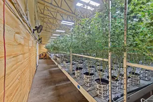 [Address not provided], Selma, OR 97538 - Photo 13